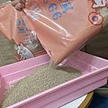 喵喵便所 (9).jpg