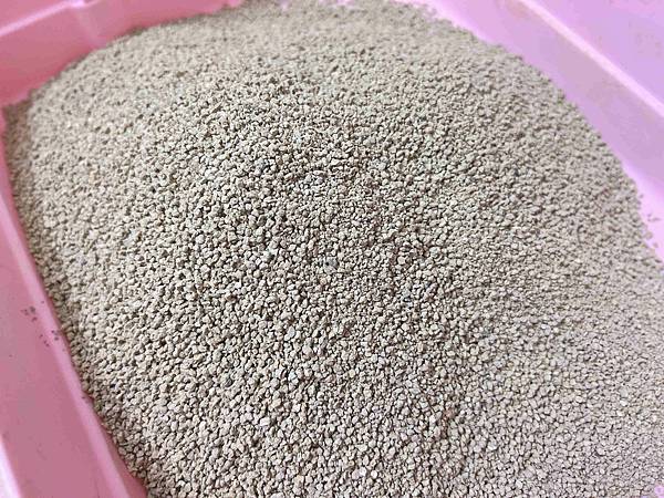 喵喵便所 (10).jpg