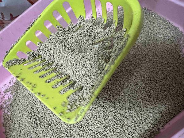 喵喵便所 (14).jpg