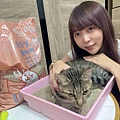 喵喵便所 (22).jpg