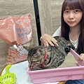 喵喵便所 (21).jpg