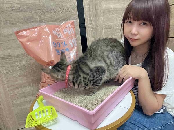 喵喵便所 (20).jpg