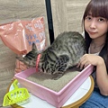 喵喵便所 (20).jpg