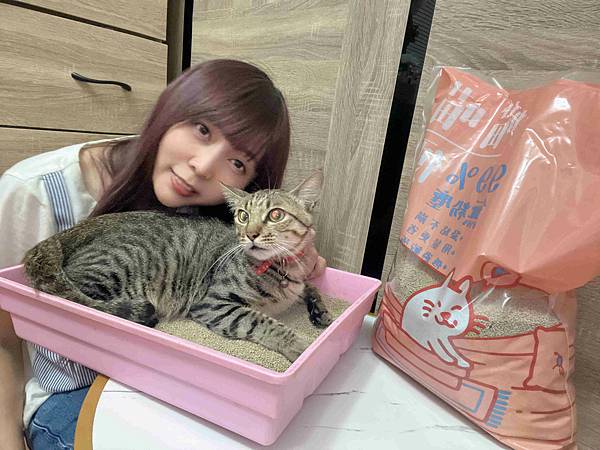 喵喵便所 (25).jpg