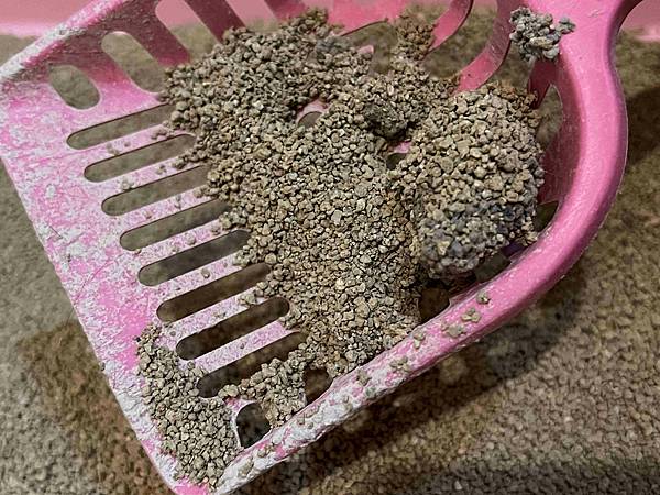 喵喵便所 (34).jpg