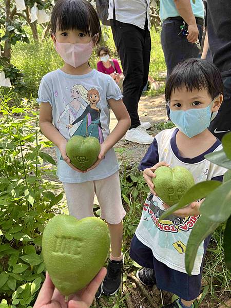 111年期間限定採文旦柚一日遊-柚見幸福 (27).jpg