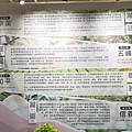 原樂好市在松菸 (71).jpg