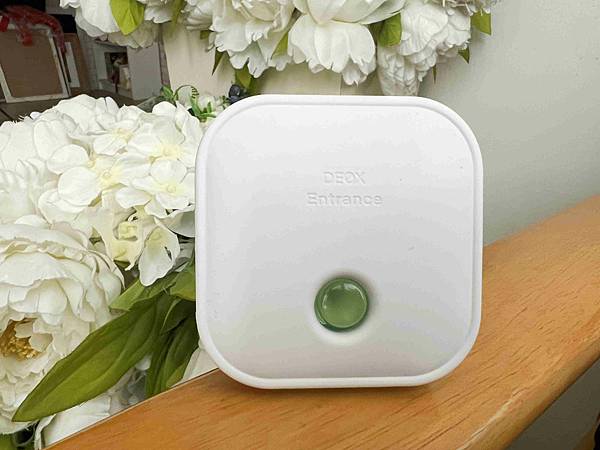 S.T.雞仔牌 DEOX  (45).jpg