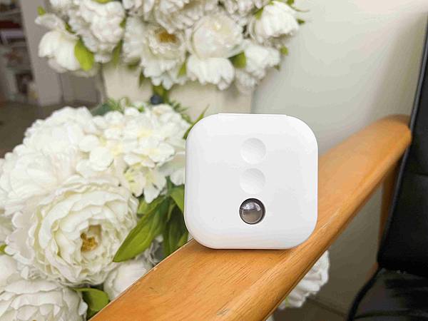 S.T.雞仔牌 DEOX  (50).jpg