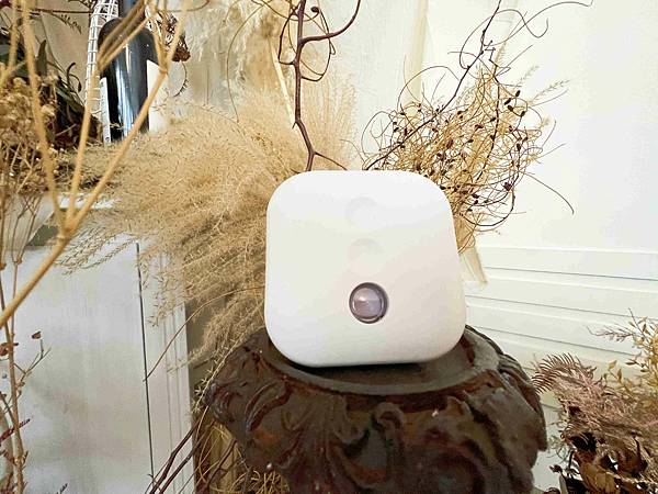 ST雞仔牌 (14).jpg