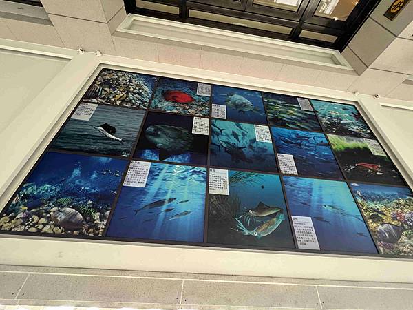 鮪魚飯店高雄館 (6).jpg