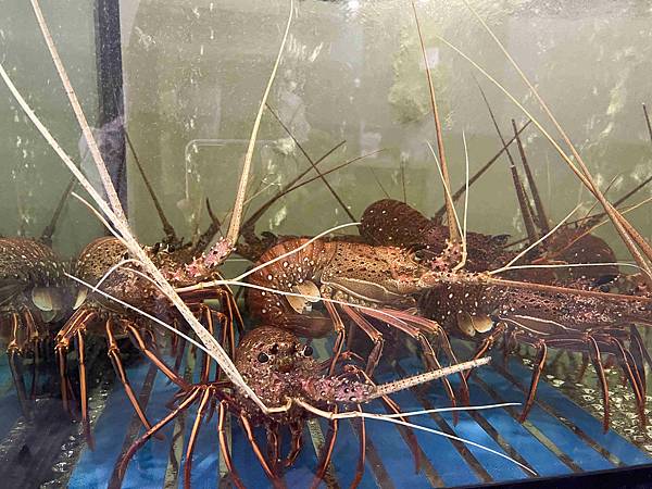 明水然樂林森 (11).jpg