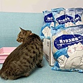 妮可露貓砂 (17).jpg
