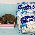 妮可露貓砂 (24).jpg