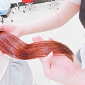 Hairlust Taiwan (17).jpg