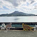 光映淡水喵的光波 (29).jpg