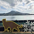 光映淡水喵的光波 (30).jpg