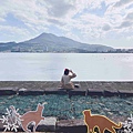 光映淡水喵的光波 (31).jpg