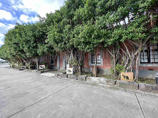 光映淡水喵的光波 (33).jpg