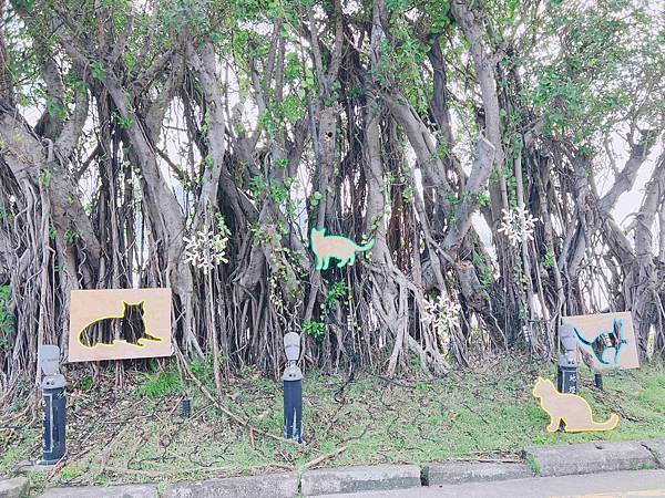 光映淡水喵的光波 (36).jpg