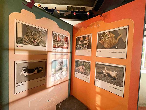 光映淡水喵的光波 (54).jpg