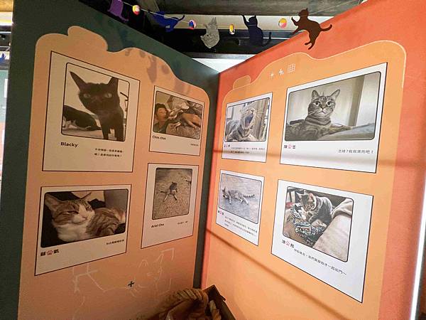 光映淡水喵的光波 (55).jpg