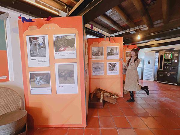 光映淡水喵的光波 (59).jpg