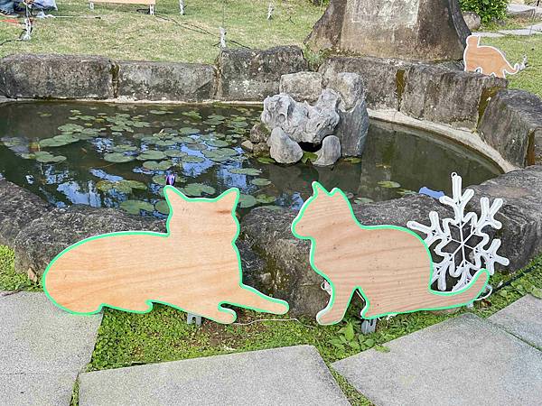 光映淡水喵的光波 (62).jpg