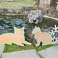 光映淡水喵的光波 (62).jpg