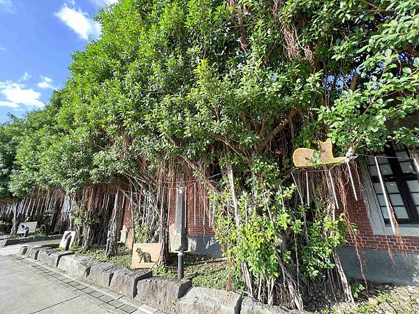 光映淡水喵的光波 (69).jpg