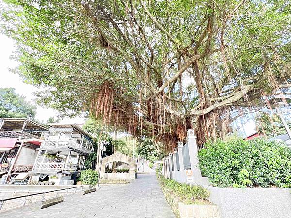 光映淡水喵的光波 (106).jpg