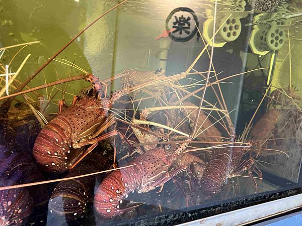 明水然樂新竹 (17).jpg