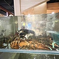 雙囍鍋物 (18).jpg
