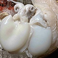 雙囍鍋物 (52).jpg