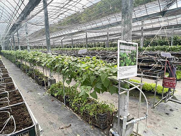 楓樺台一渡假村 (11).jpg