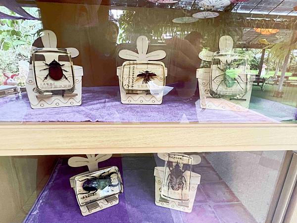 楓樺台一渡假村 (26).jpg