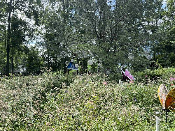 楓樺台一渡假村 (43).jpg