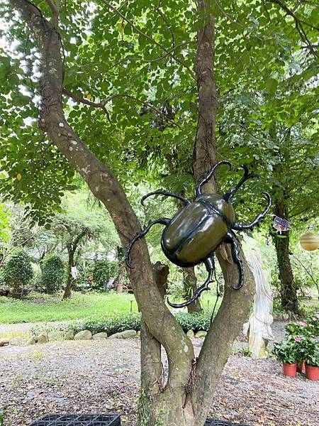 楓樺台一渡假村 (46).jpg