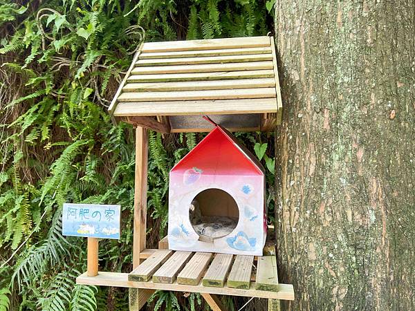 楓樺台一渡假村 (59).jpg