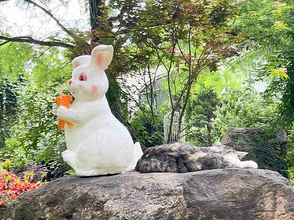 楓樺台一渡假村 (60).jpg