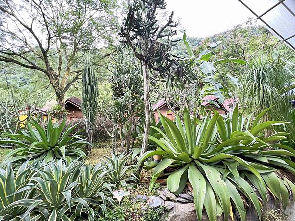 楓樺台一渡假村 (91).jpg