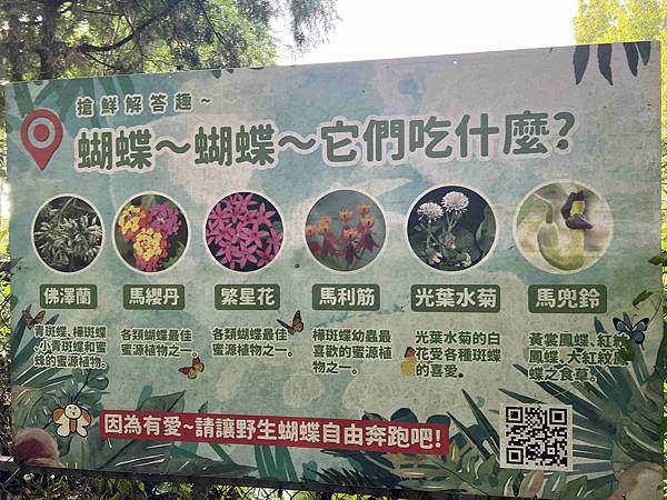 楓樺台一渡假村 (103).jpg