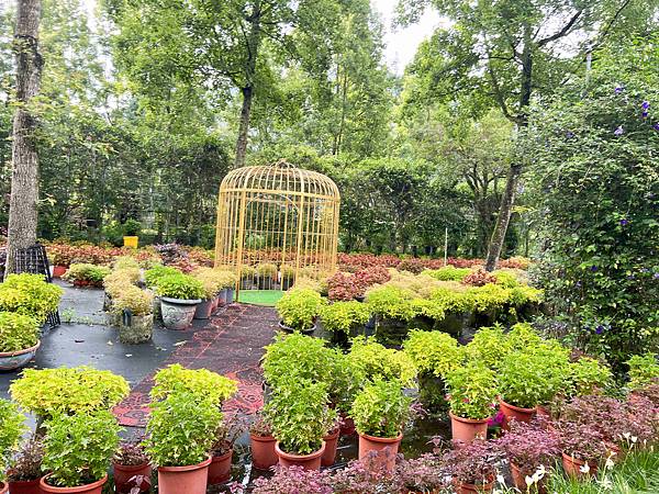 楓樺台一渡假村 (104).jpg