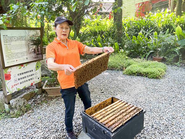 楓樺台一渡假村 (192).jpg