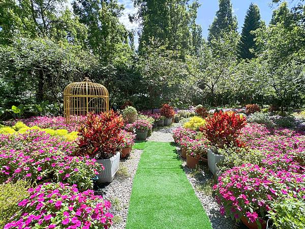 楓樺台一渡假村 (195).jpg