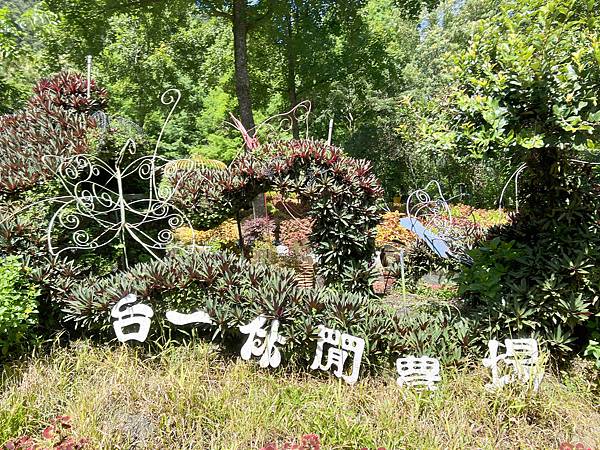 楓樺台一渡假村 (197).jpg