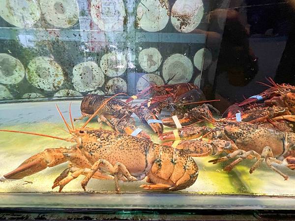 舞古賀鍋物專門店-頂級肉品平價專賣 (47).jpg