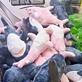 沙發馬鈴薯樂園龍潭聖亭店 (50).jpg