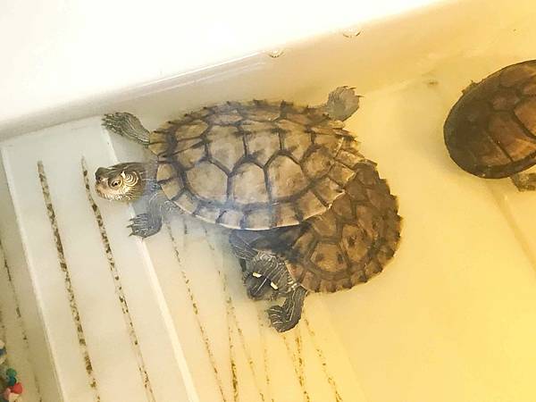 艾薇通訊科技 (23).jpg