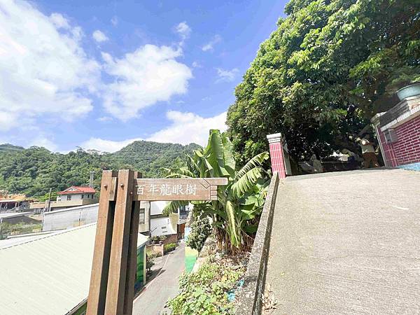 苗栗景點推薦獅潭仙草、後角烘培手作、幸福鐘樓、鐘樓古道、有機書店、獅生活減塑概念館、新店仙草、蜂蜜屋、獅潭教會、楓樹伯公廟、豬皮伯公廟、神秘小徑 (41).jpg